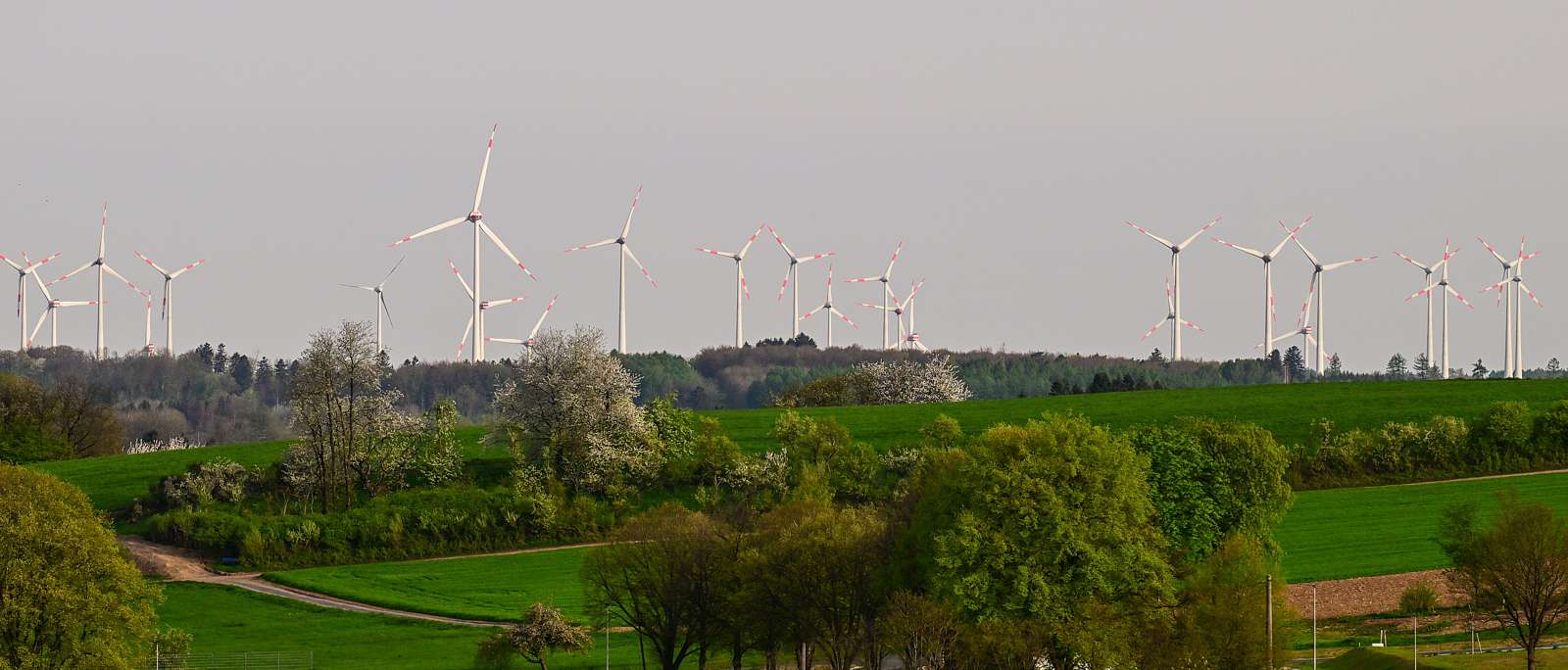 Wind-Industrieanlage im Westerwald