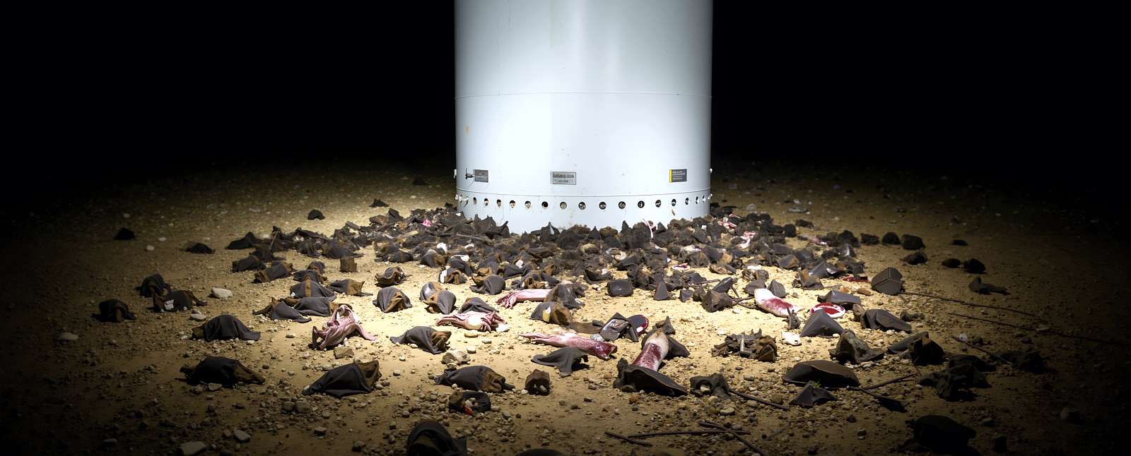 Tote Fledermäuse unter einem Windrad