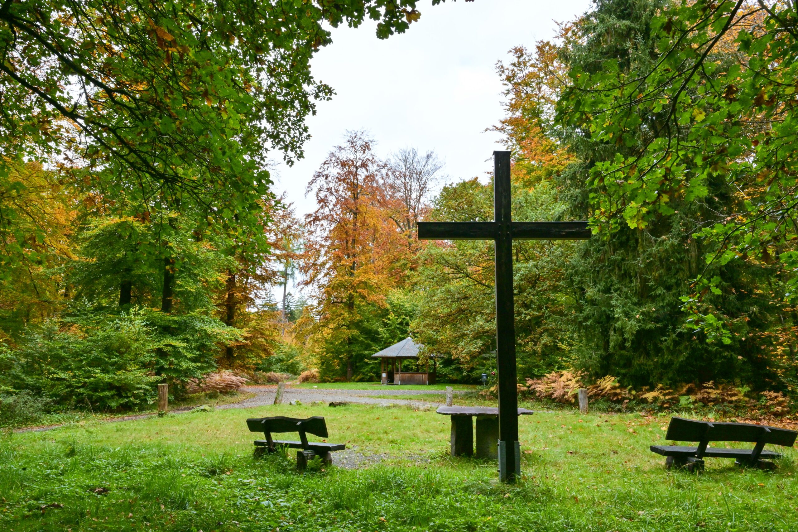 News dsc 0339 lr klein 2