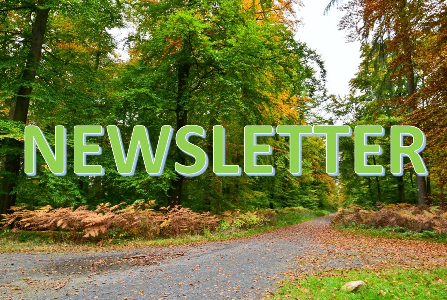 Newsletter Mai 2026 screenshot 2026 04 15 091211