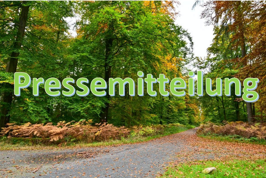 Pressemitteilung screenshot 2026 04 17 072523